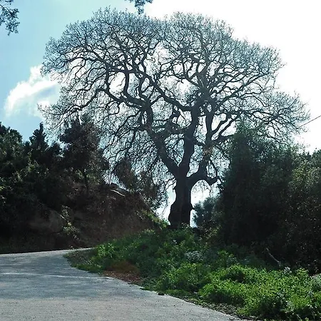 La Fattoria Отель Кастельсардо